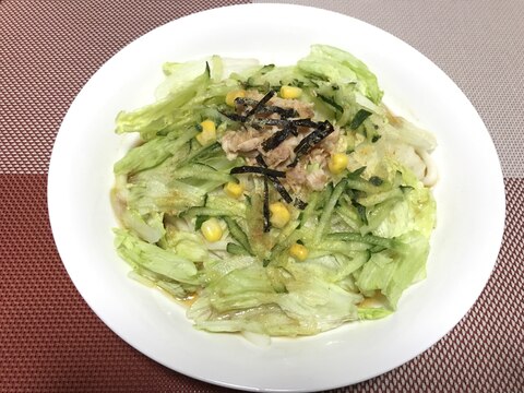 簡単！サラダうどん